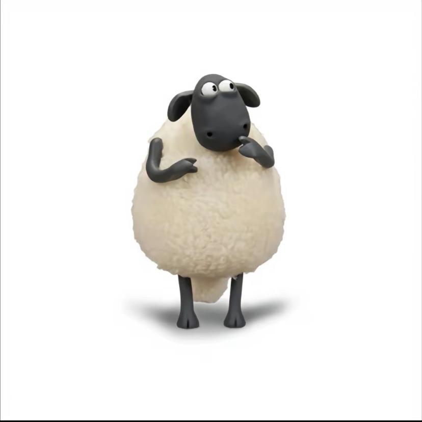 小羊羊崽🐑