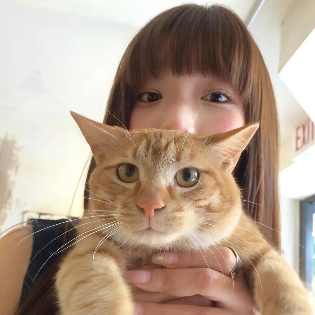 小灿c