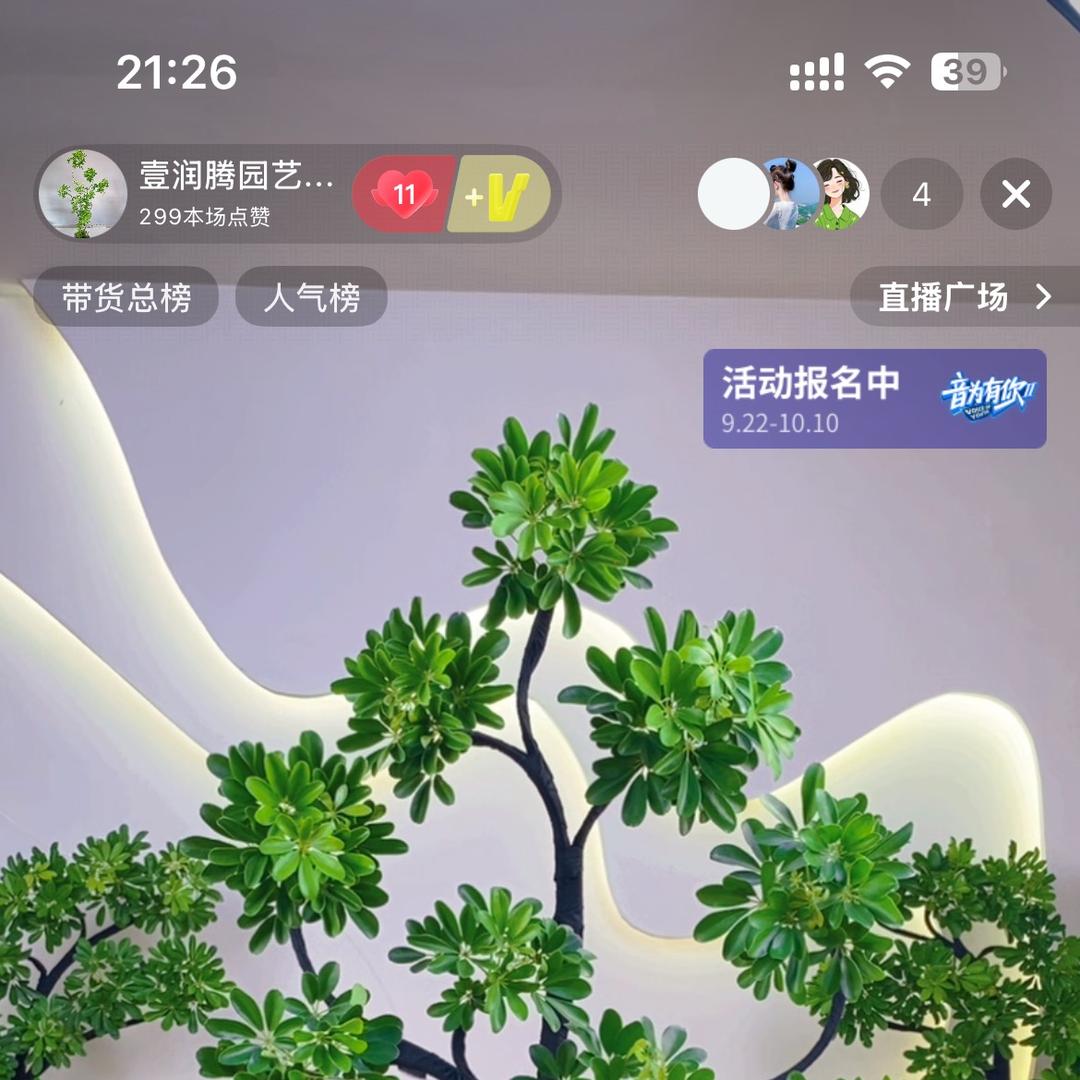 壹润腾园艺绿化绿植