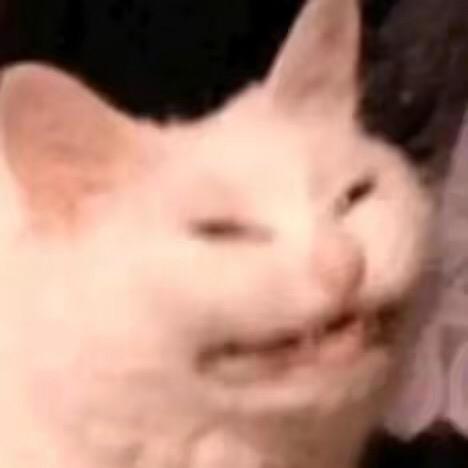 ..