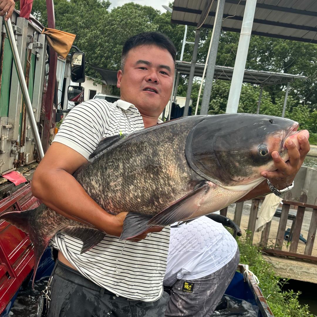 水渡河大毛垂钓园