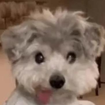 我不是3️⃣🔟4️⃣