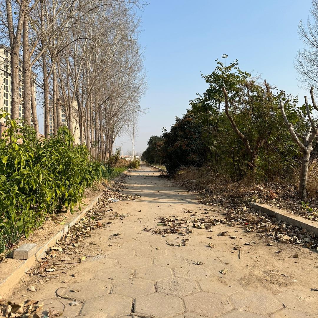 两个迷瞪
