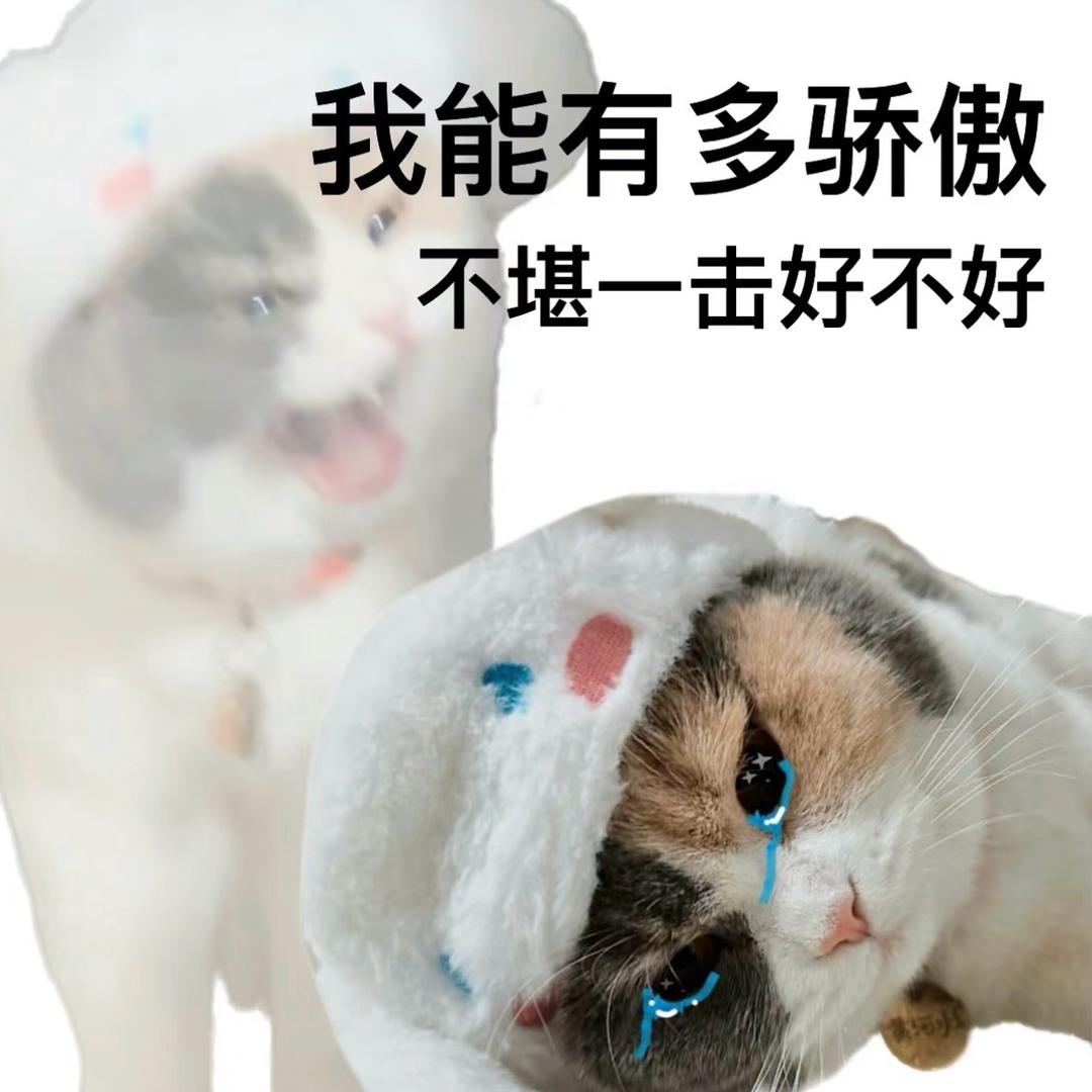 七穗不是八岁