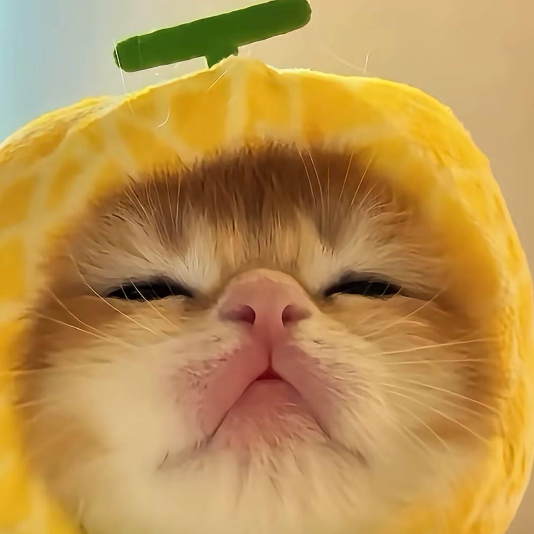 资深蛋挞专家