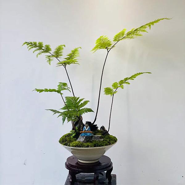 山居雅客绿植园艺