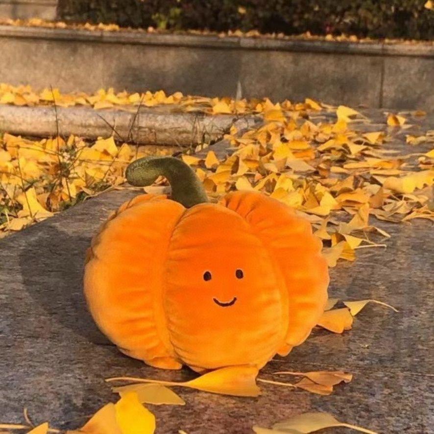 娃酷潮玩官方店