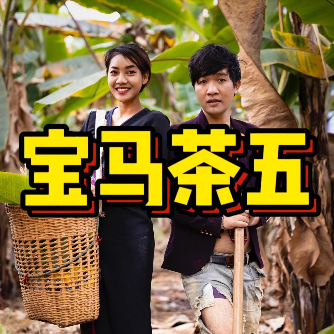 宝马茶五～小号