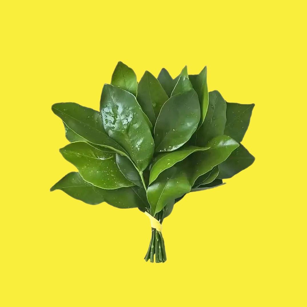 林夹子