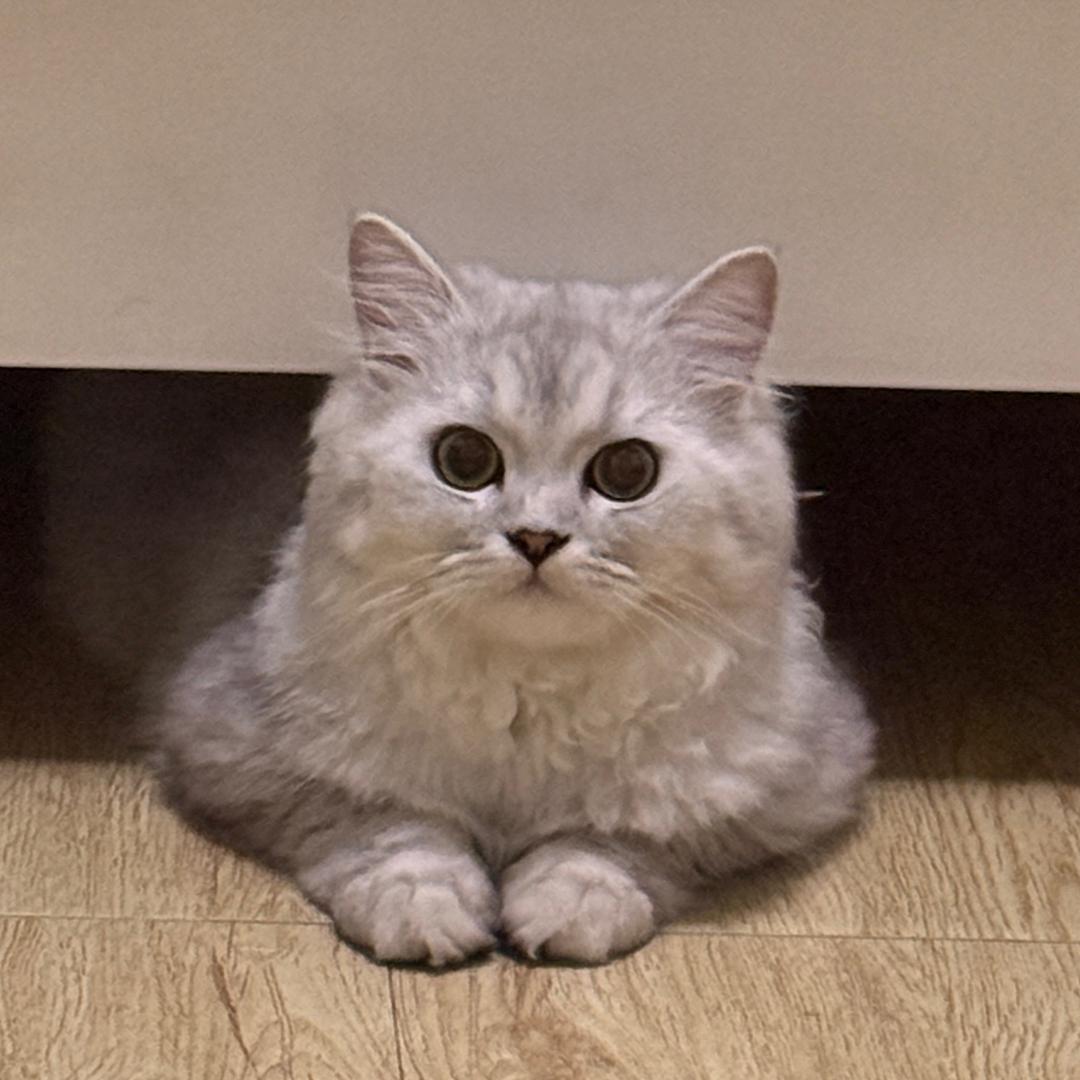 - Lucky