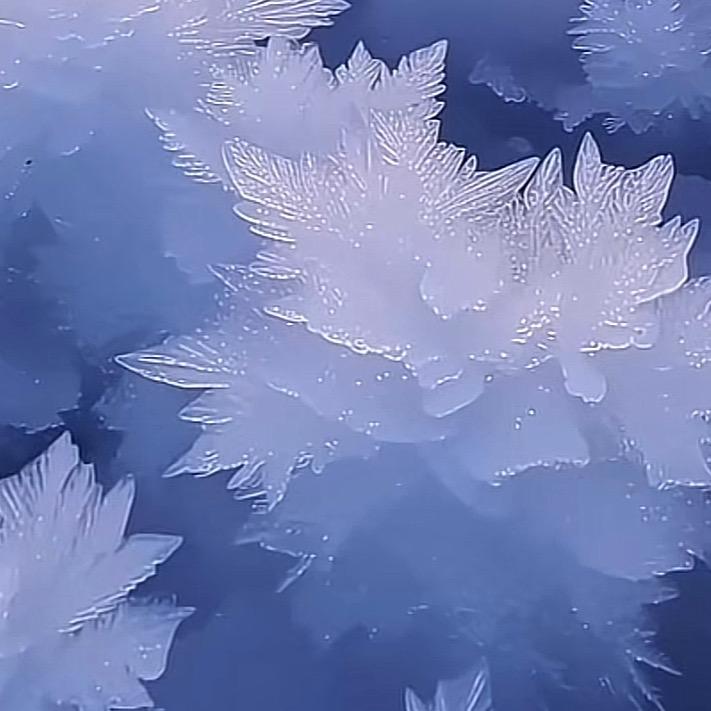 春暖花开