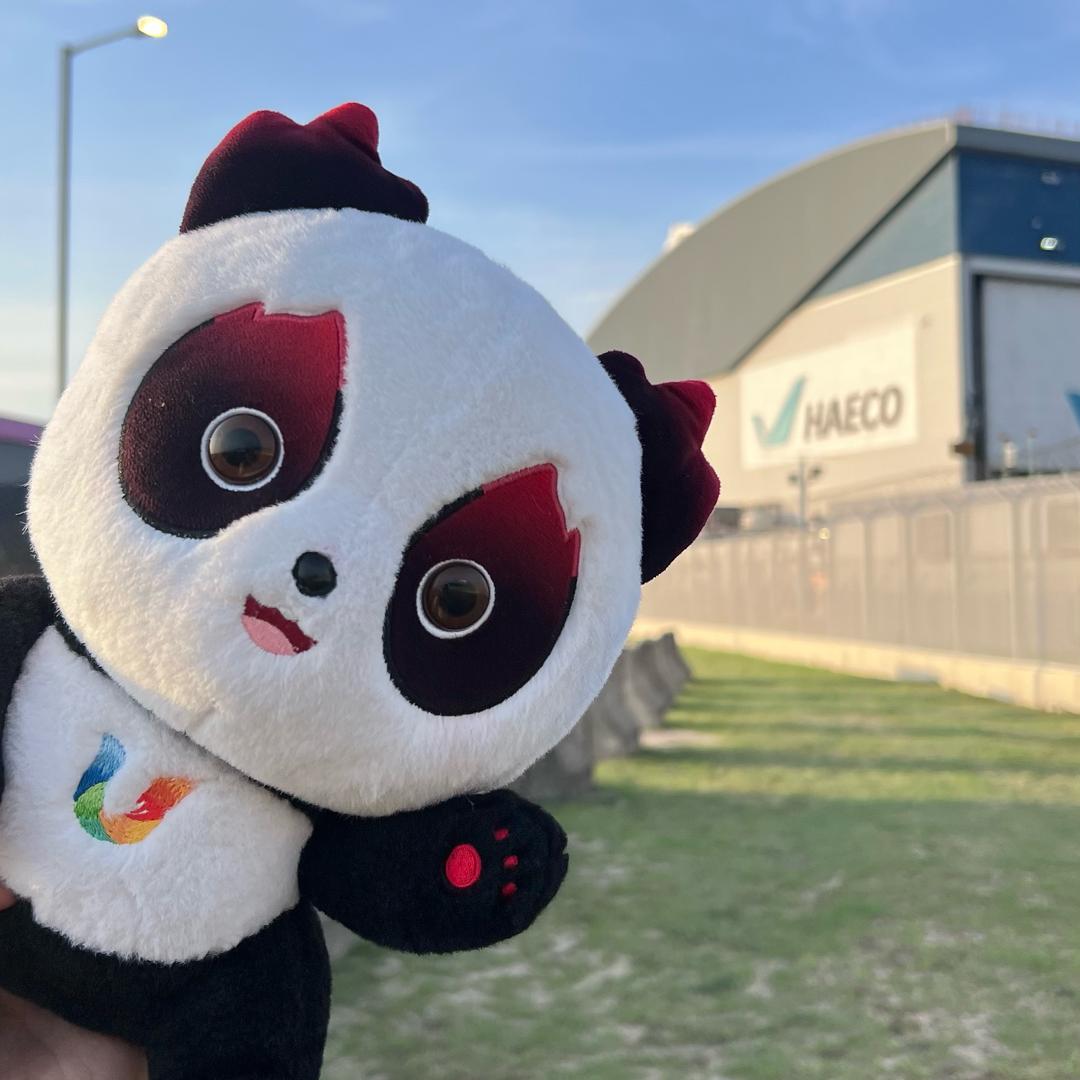 香港鬼火熊猫✈️