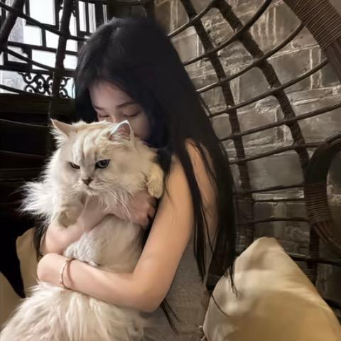 呆呆小卷