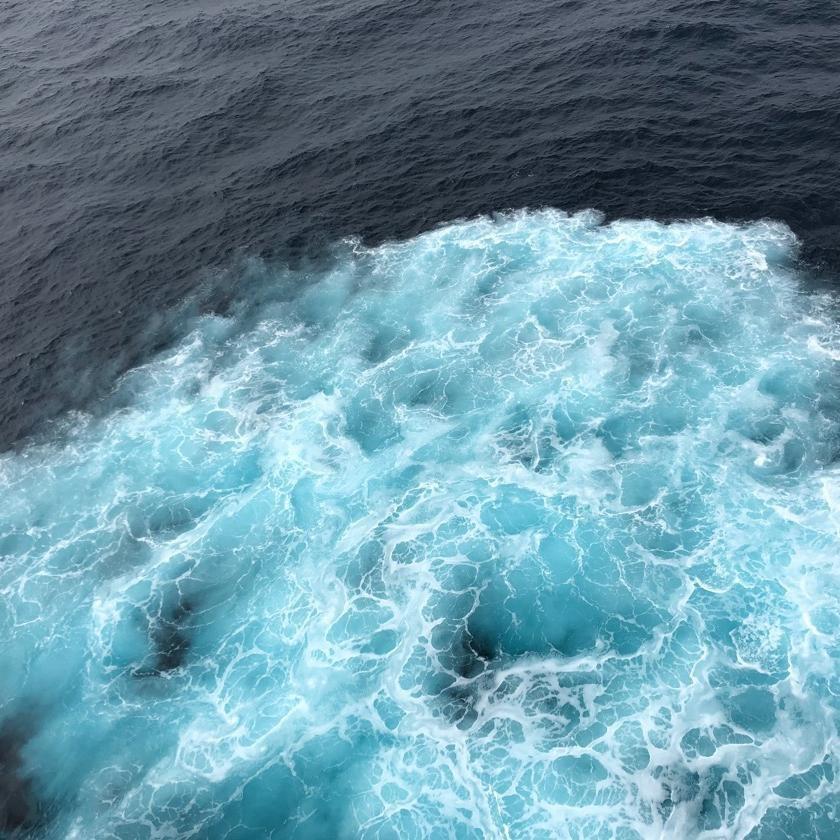 七七八八的海🌊
