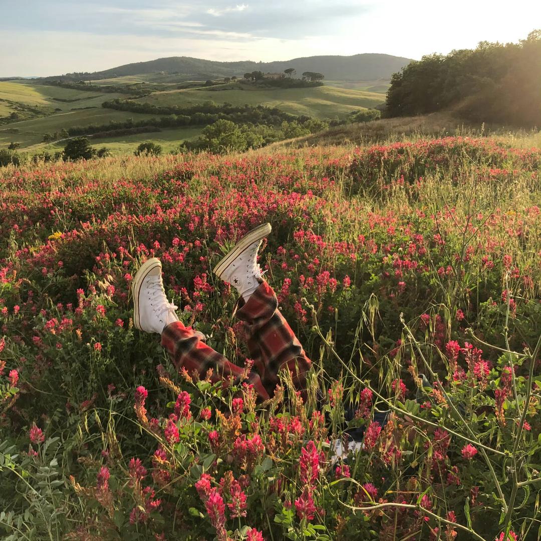 关你西红柿啊🍅