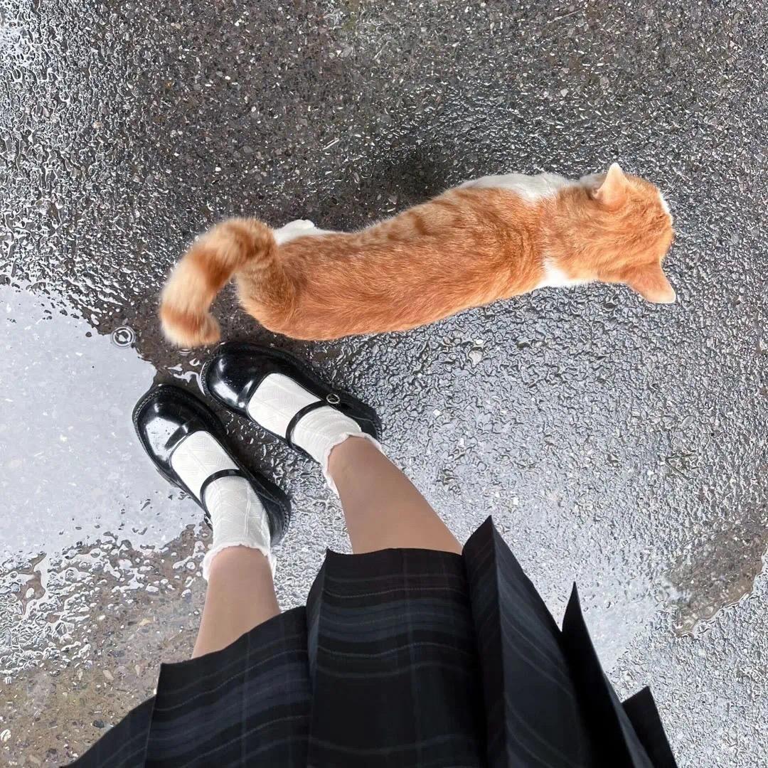 我没什么太大用处