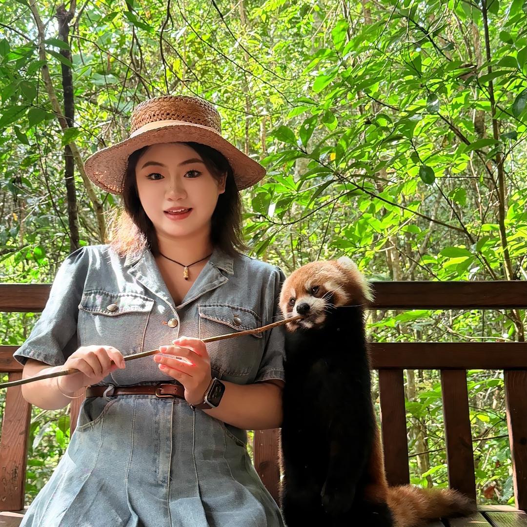 公考糖醋鱼（直播号）