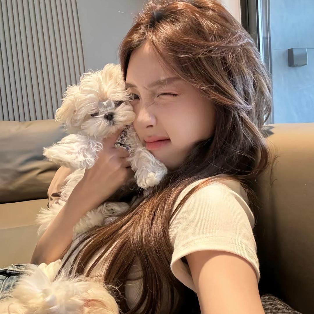 窝系小雨 你Y母呢