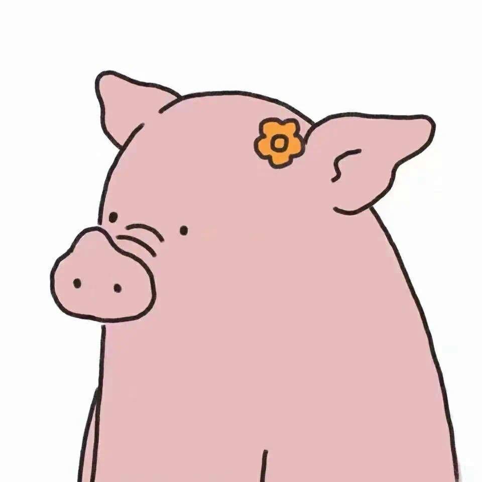 313大猪🐷