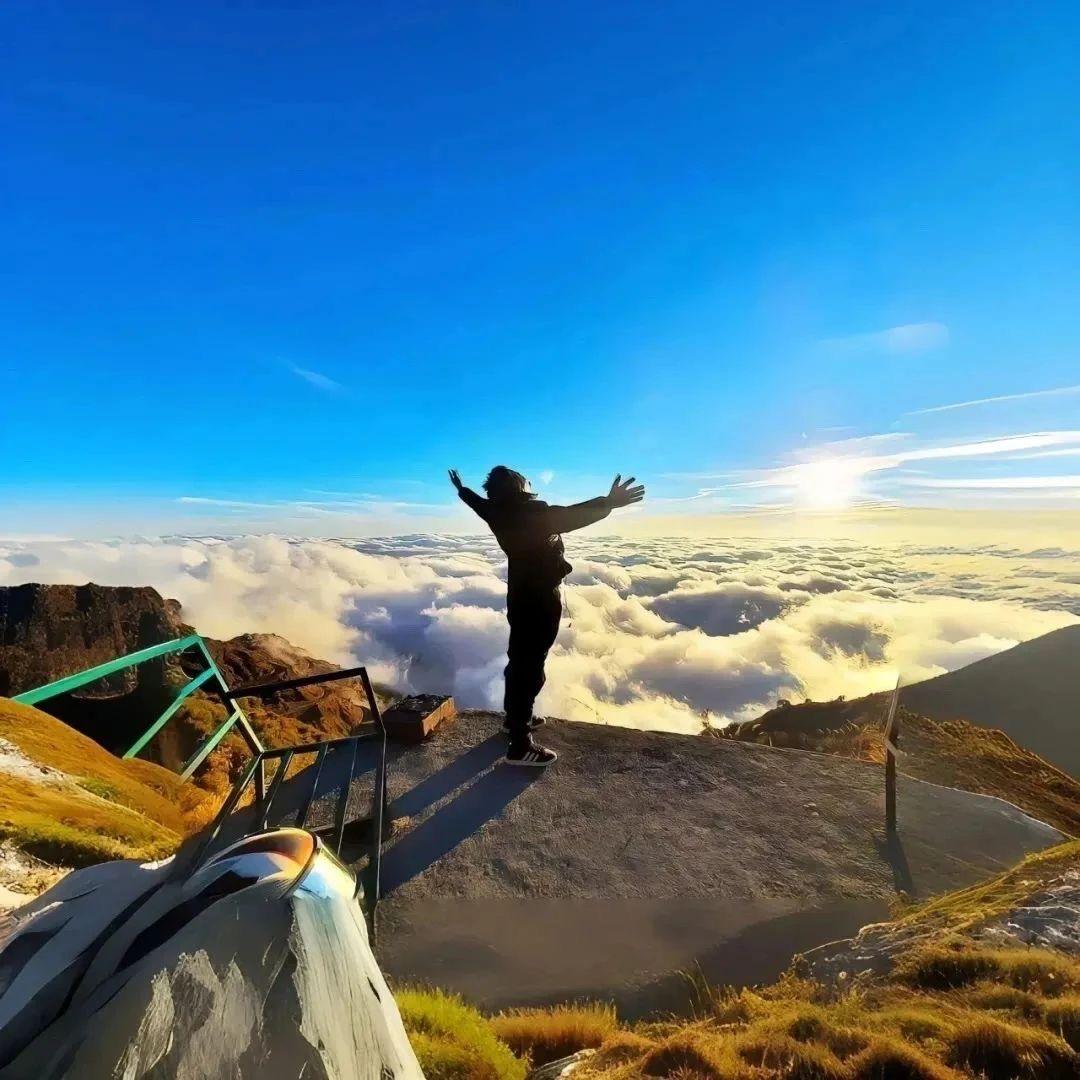 狗🐶见了都摇头。