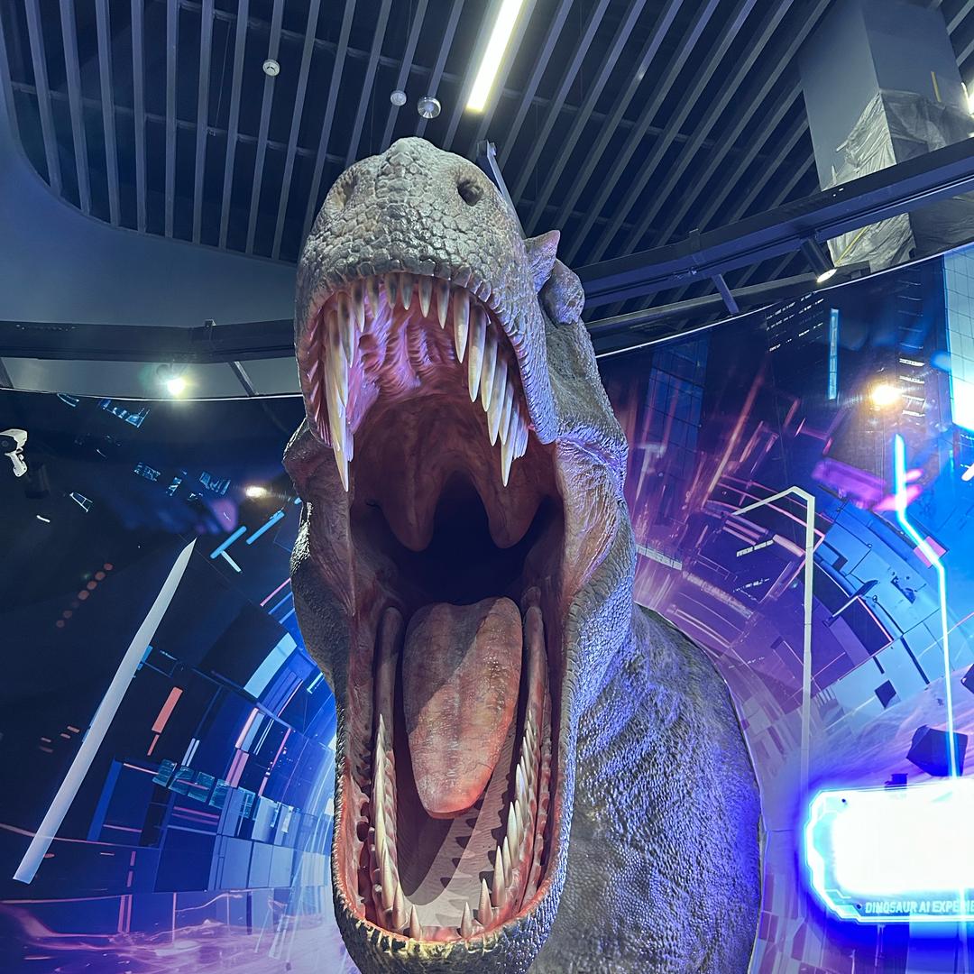 🌼东北一条🐉🌸