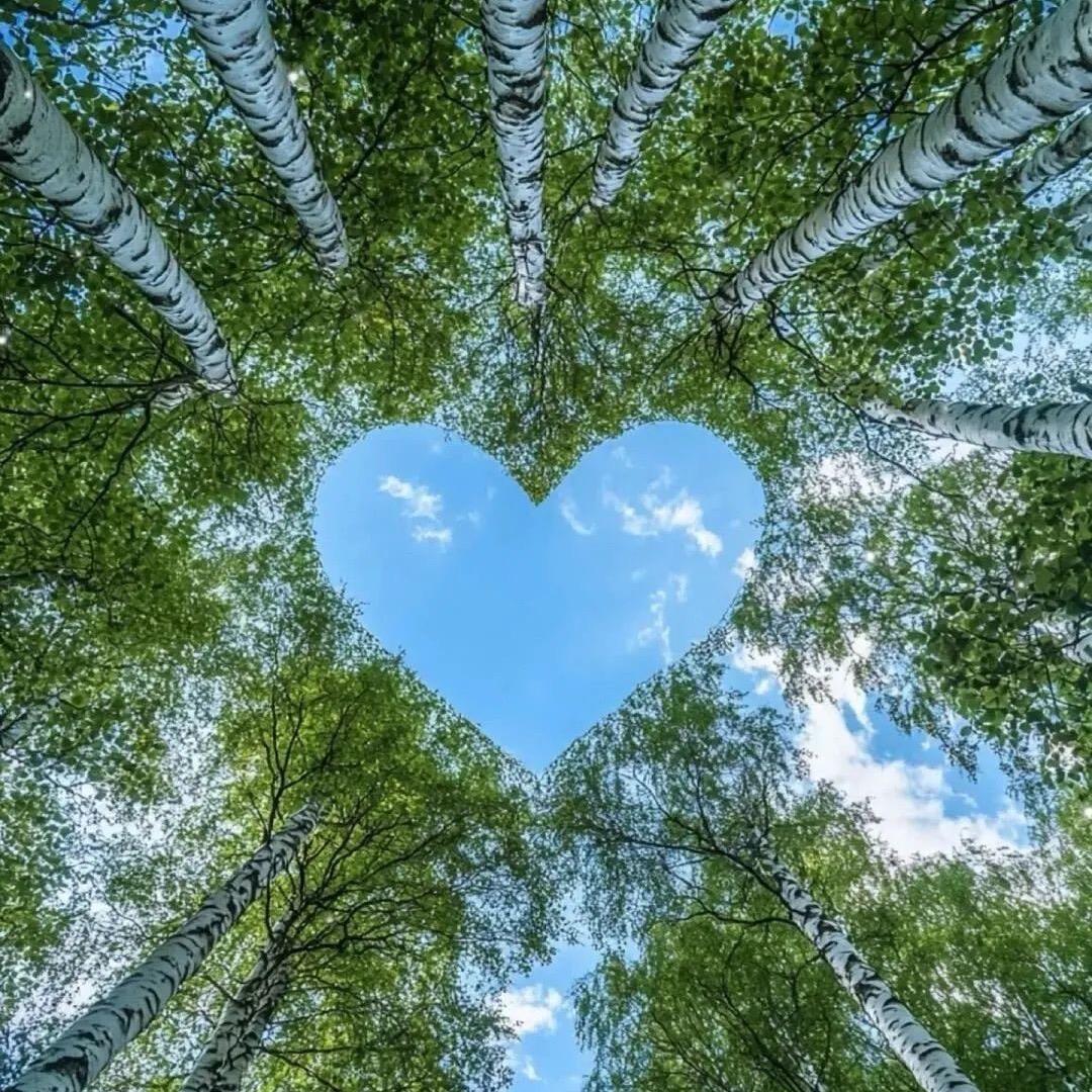 🍀丽丽🍀