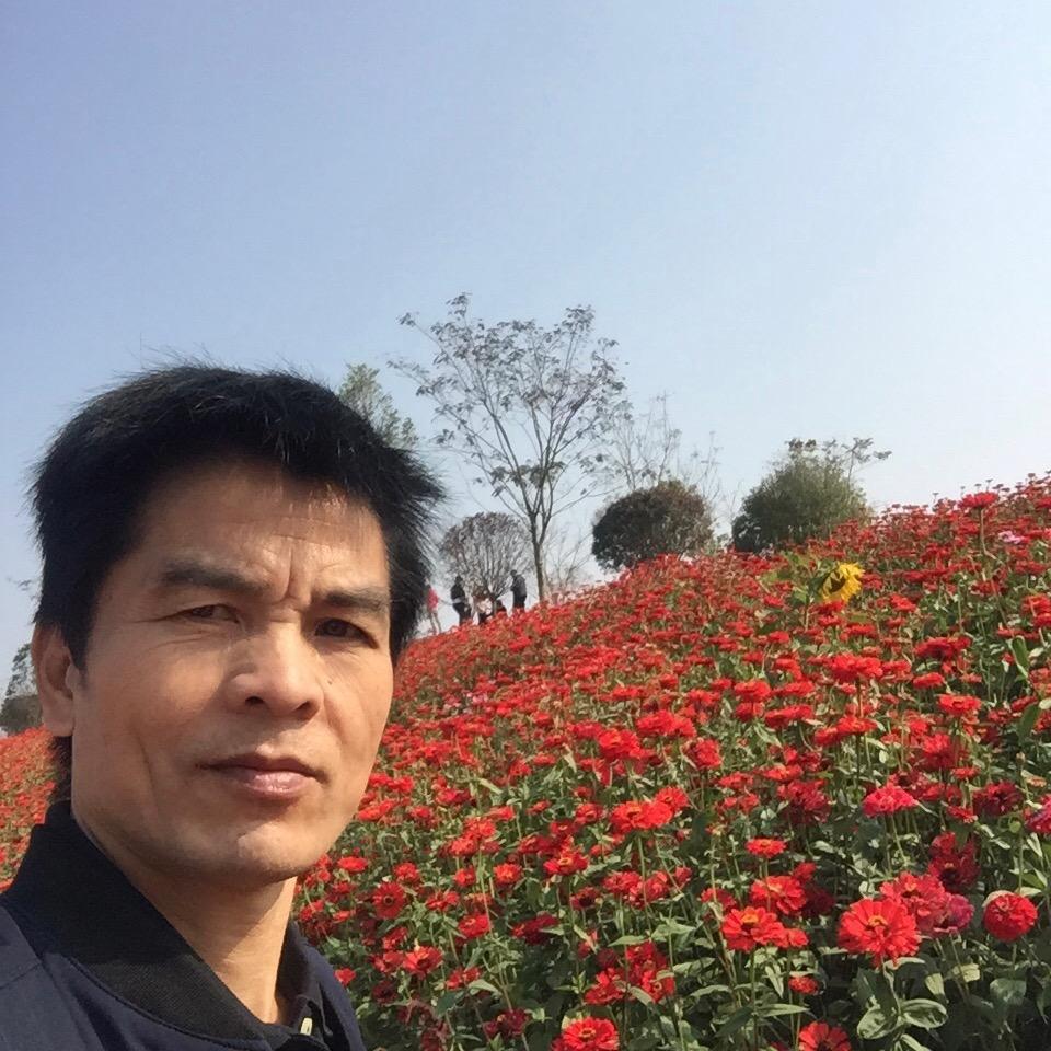 随风珍民tch涂