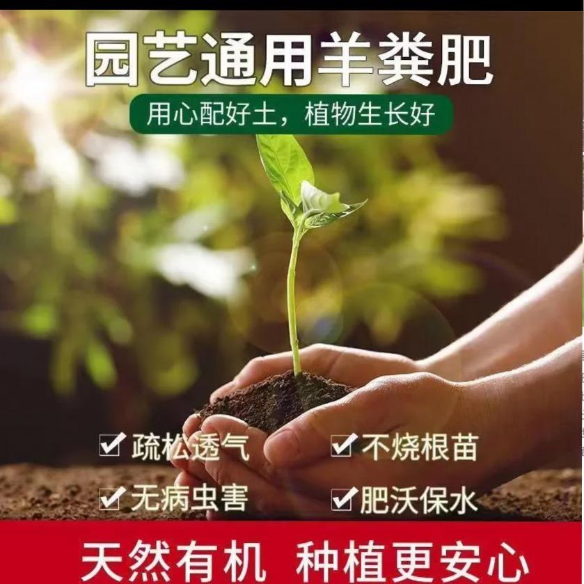 程小谁的小羊台