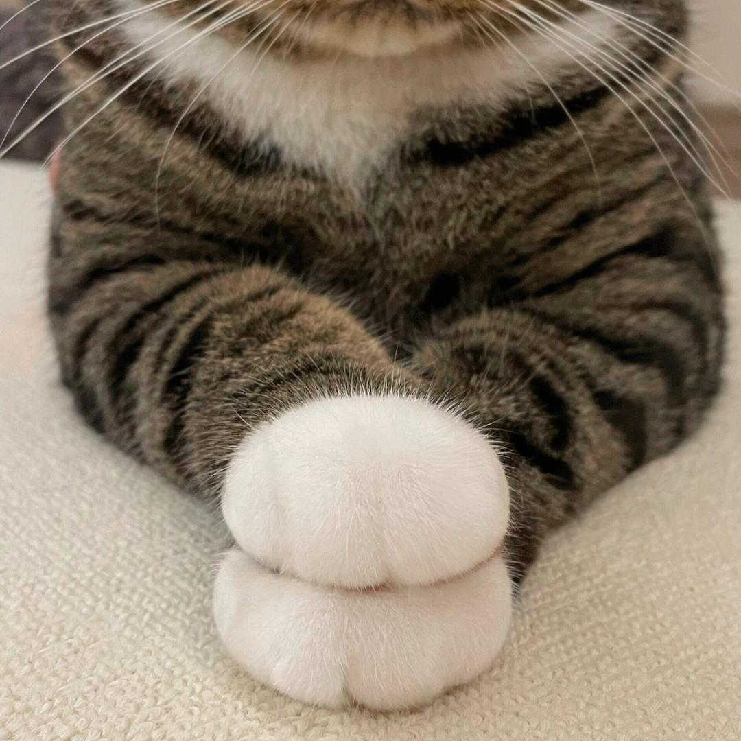 走走停停