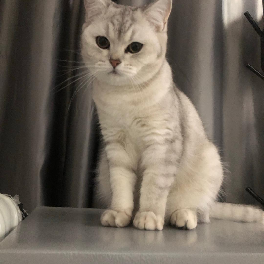 有之（喝了酒的彦山不是彦山