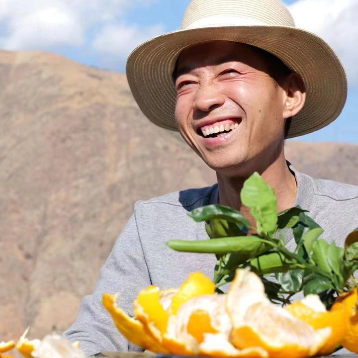 安东尼的莓目传芹