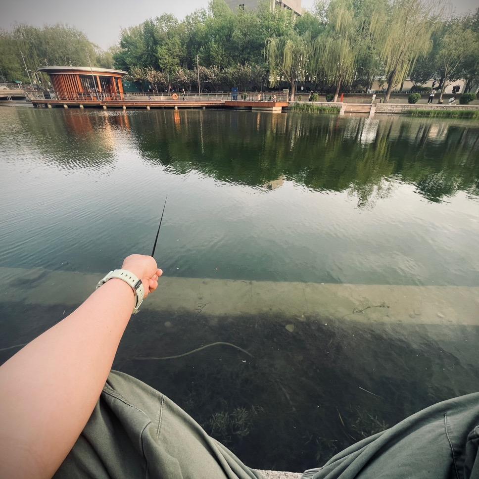 顺儿的亮马小物🎣日记