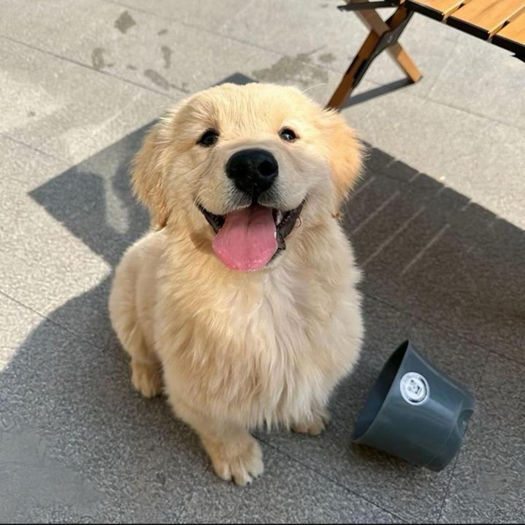 ㅤ        ㅤ