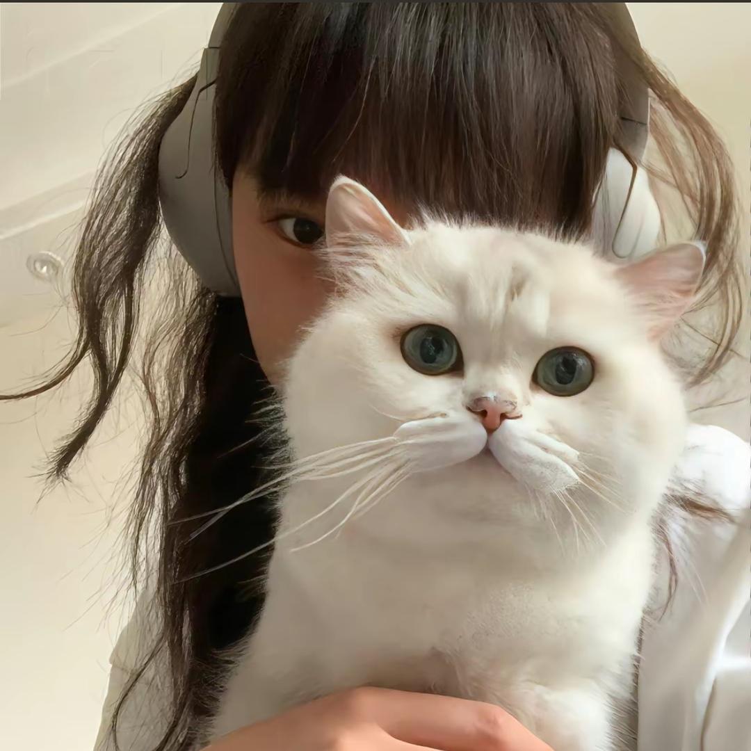蛋金刚
