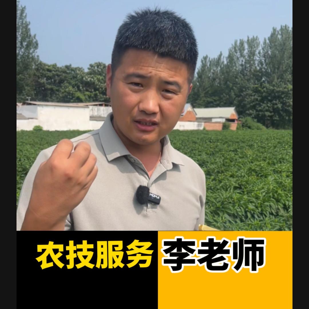 李老师讲大蒜