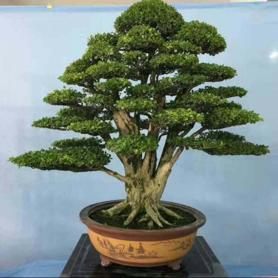 ／不能，＇k：这，