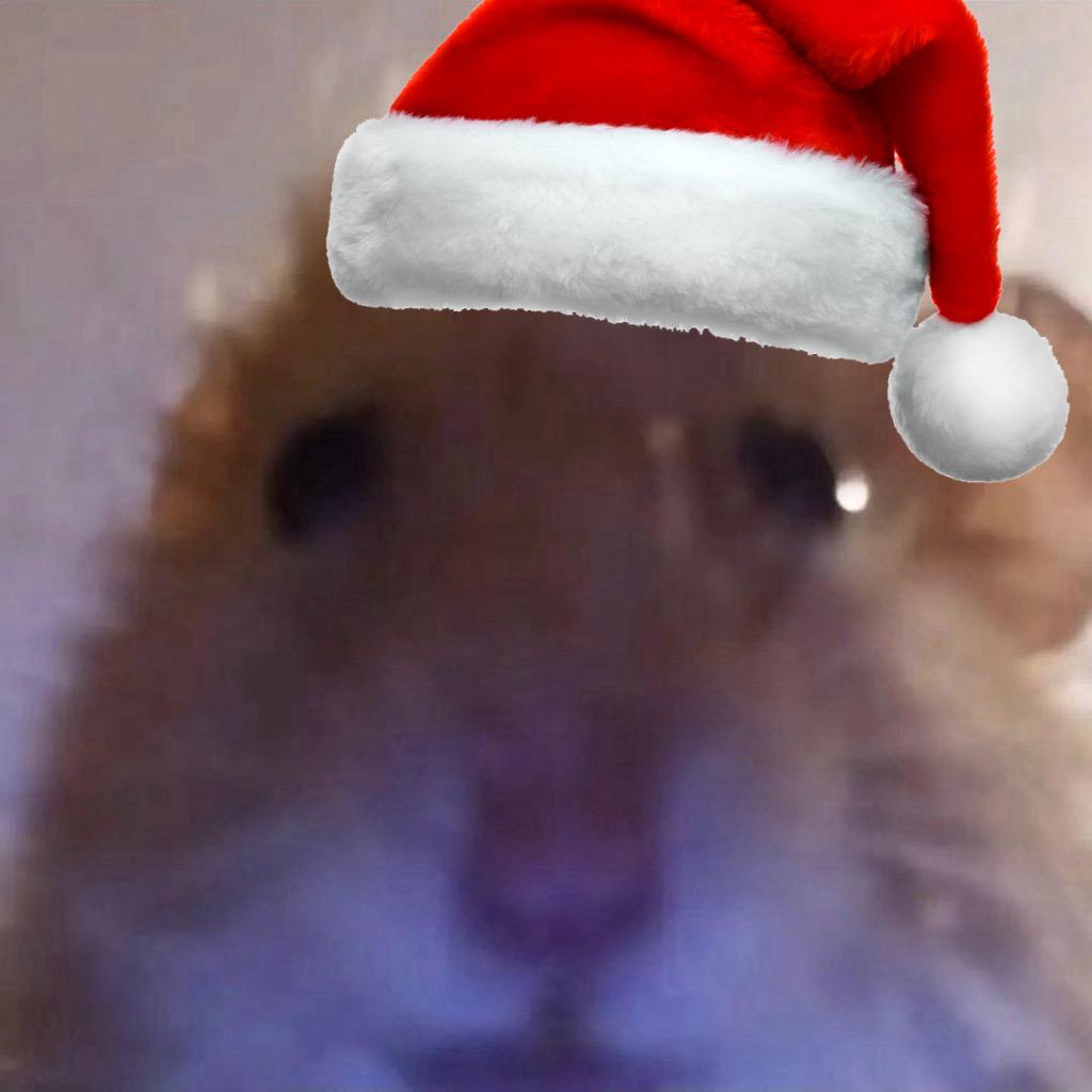 𝕴'𝖒𝖞𝖔𝖚𝖗 𝖋𝖆𝖙