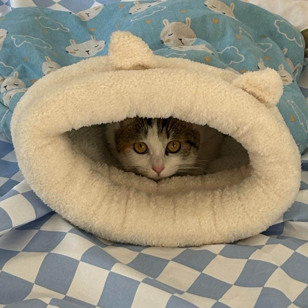 🌈🥤巴卡玛卡