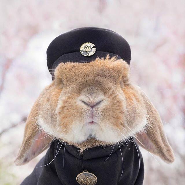 Jerry三哥