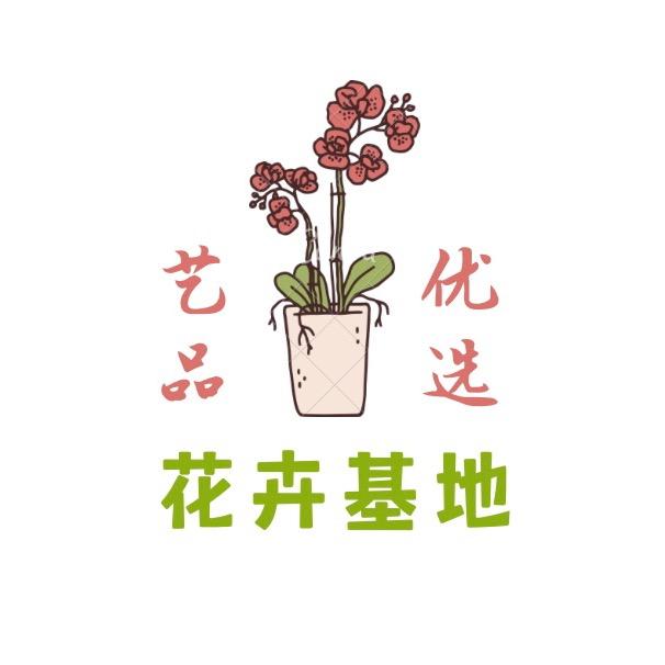 艺品优选蝴蝶兰新峰基地