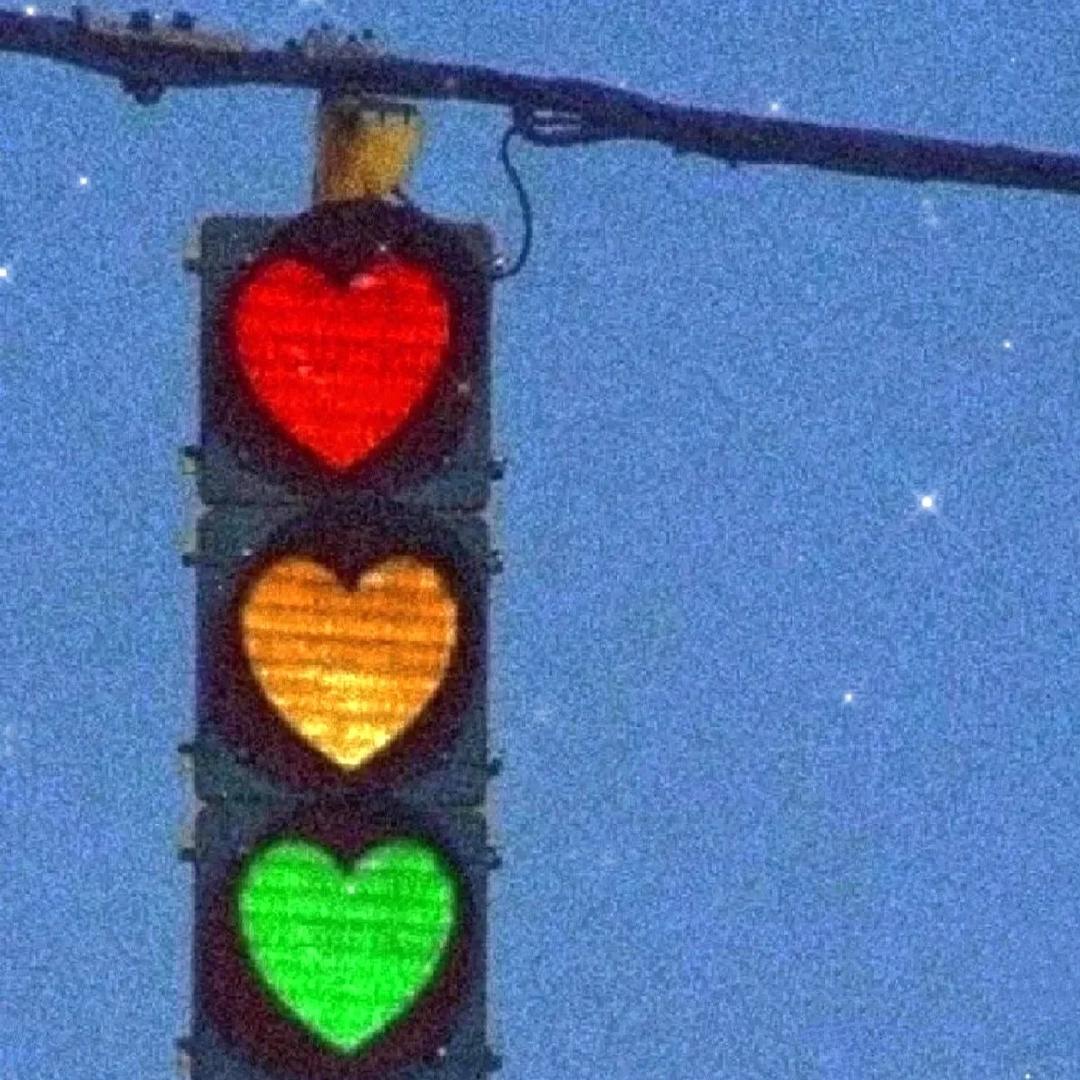 狗崽崽💚❤️.