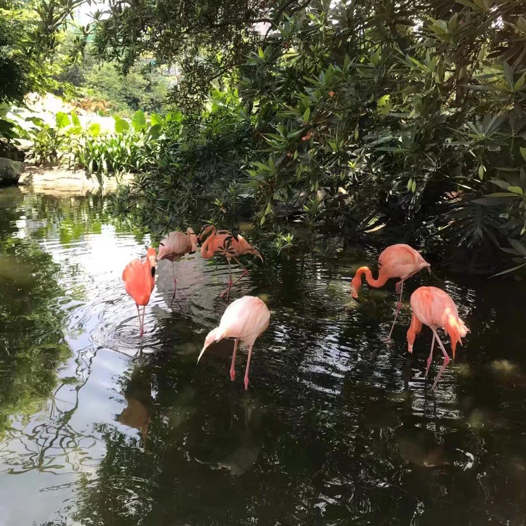 大头🚩