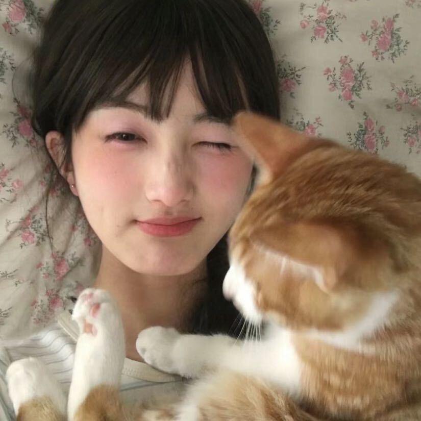 七七