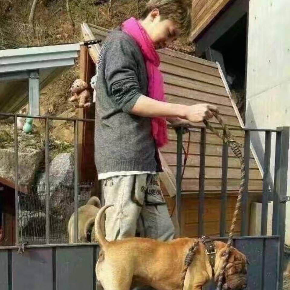 七色