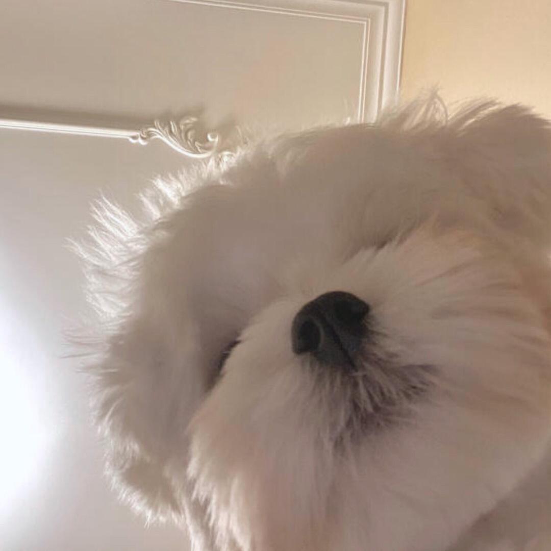 📺迷你可爱笑剧🌴🌴