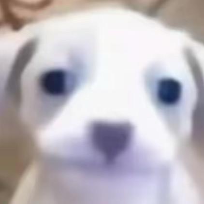 鱼头