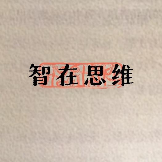 智在思维