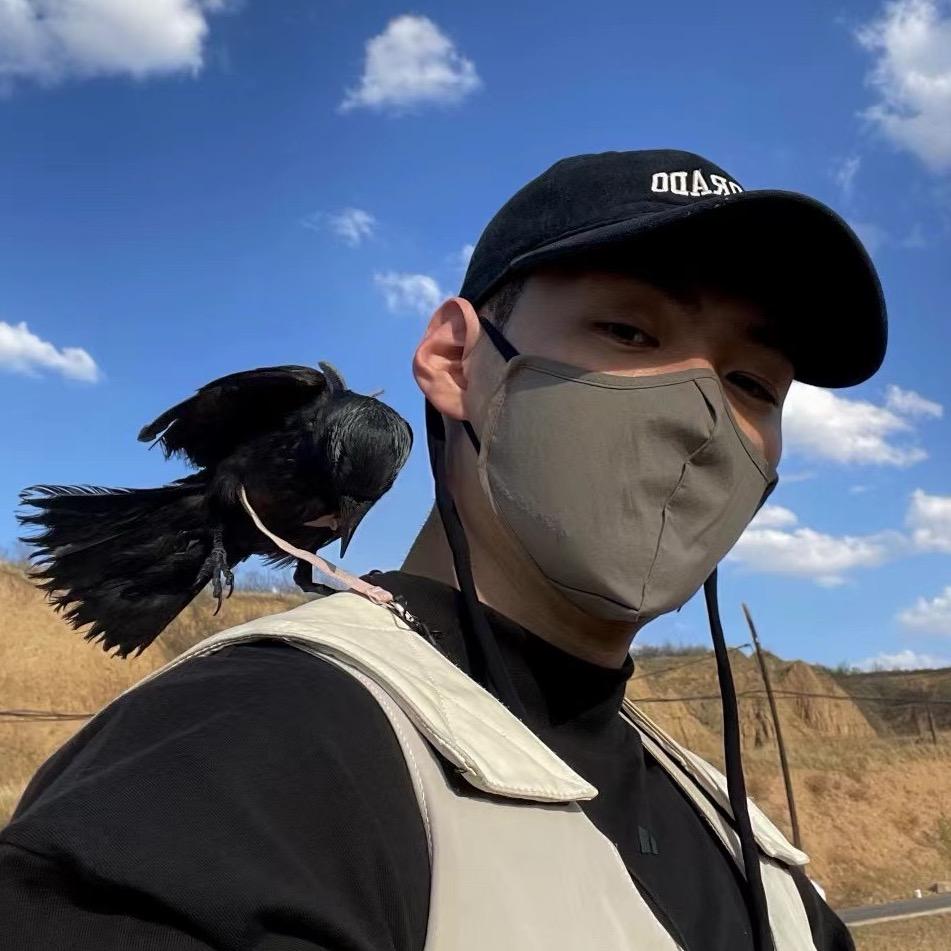 老黑livefree（给鸦养上了）