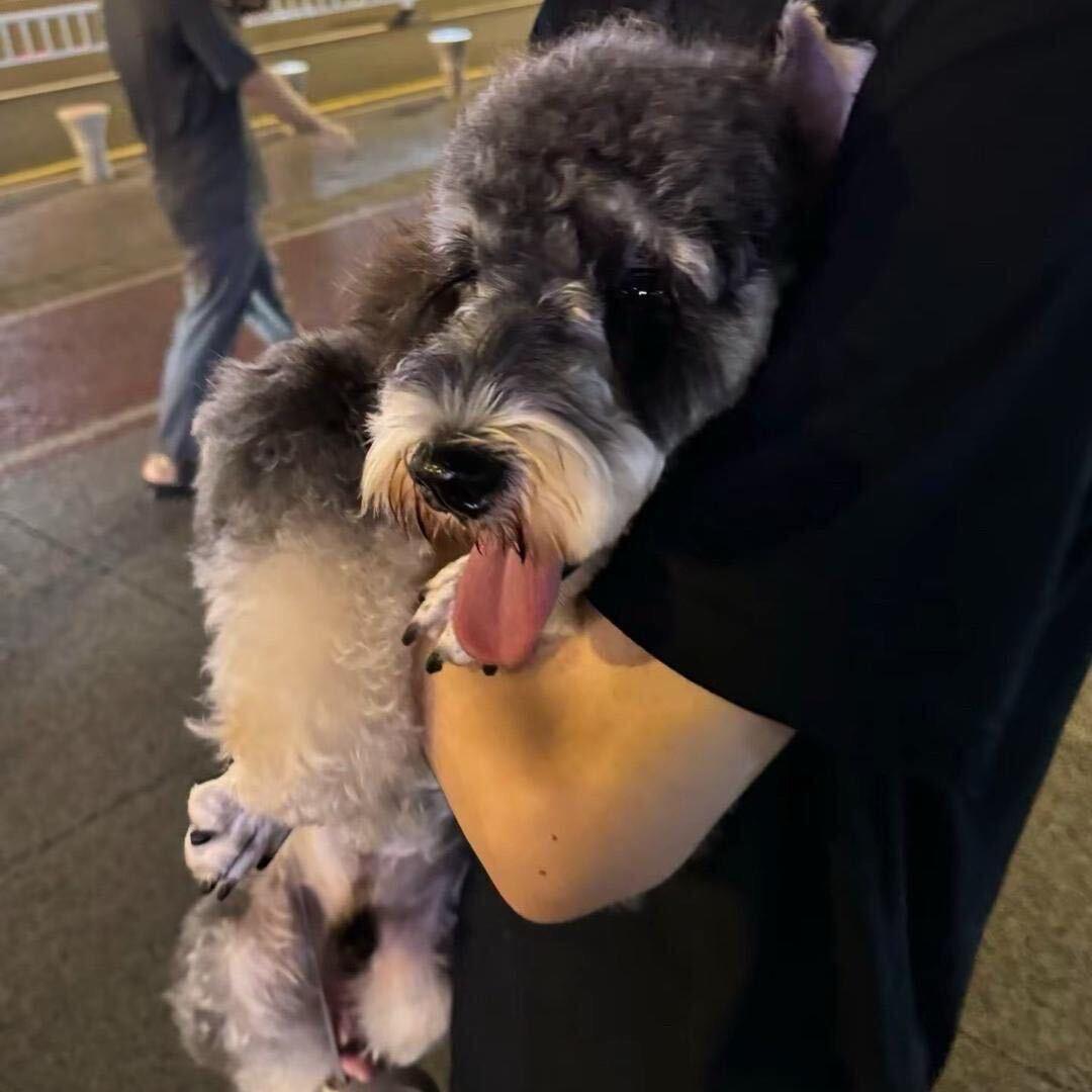 你是我的谁