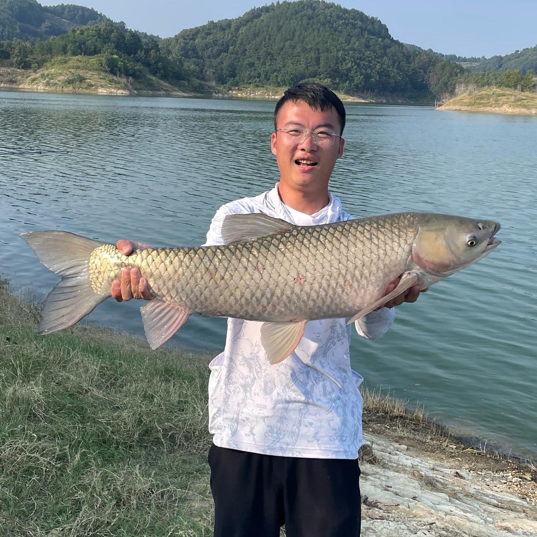 钓鱼人风青扬